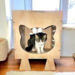 Casa para Gatos Terciado 15mm - Imagen 3